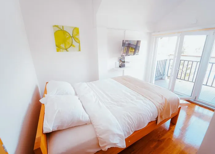 Magnus - Free Parking